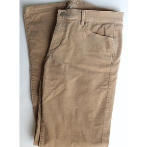 LOFT Straight Leg Corduroy Pants